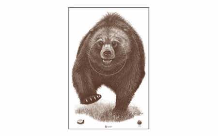 Action Target ACTION TGT AK STATE PARK BEAR 100PK