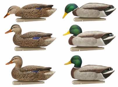 Avian X AVX-AVX8080 Topflight Teal Species Multi-Color