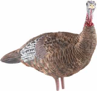 Avian X AVXAVX8006 LCD Lookout Hen Turkey Species Multi Color Dura-Rubber