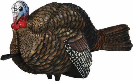 Avian X AVXAVX8012 LCD Half-Strut Jake Turkey Species Multi Color Dura-Rubber