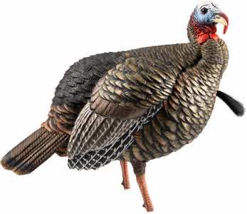 Avian X AVXAVX8105 HDR Jake Turkey Decoy Multi Color