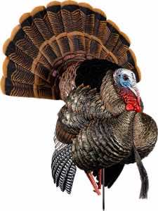 Avian X AVXAVX8108 HDR Strutter Turkey Species Multi Color