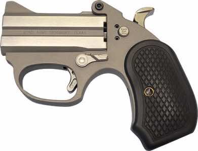 Bond Arms BAHB Honey B 22 LR 2rd Shot 3